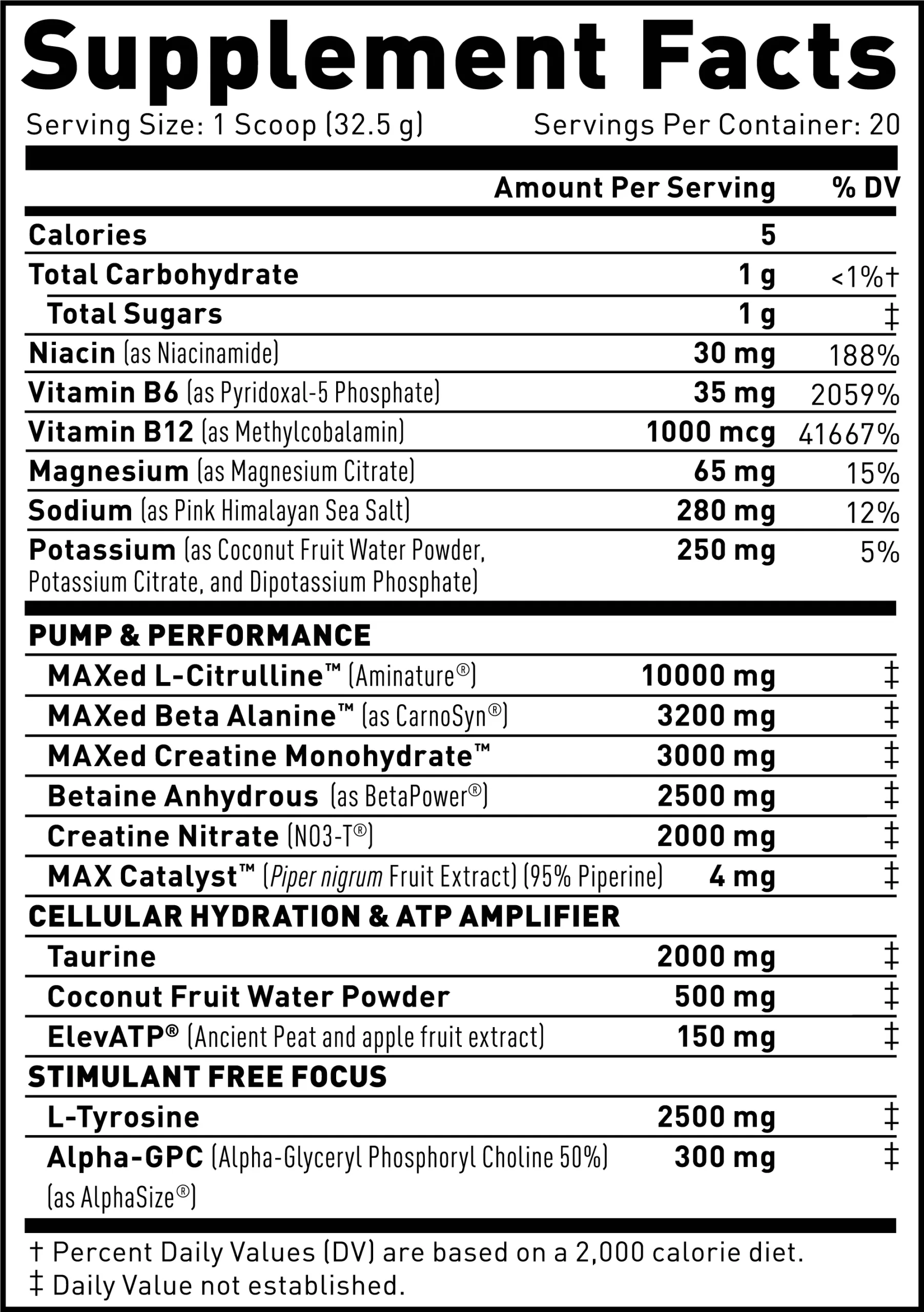 Pre-Workout Elite Stimulant Free : Kaged India